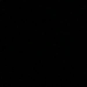 Meet your Posher, Max